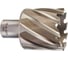 Кольцевая фреза HSS (42х30 мм; Weldon 19) Milwaukee 4932371751 1