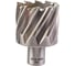 Кольцевая фреза HSS (44х30 мм; Weldon 19) Milwaukee 4932371753 1