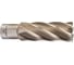 Кольцевая фреза HSS (23х50 мм; Weldon 19) Milwaukee 4932343298 1