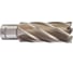 Кольцевая фреза HSS (25х50 мм; Weldon 19) Milwaukee 4932343300 1
