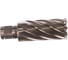 Кольцевая фреза HSS (28х50 мм; Weldon 19) Milwaukee 4932343303 2