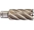 Кольцевая фреза HSS (29х50 мм; Weldon 19) Milwaukee 4932343304 1