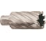 Кольцевая фреза HSS (30х50 мм; Weldon 19) Milwaukee 4932343305 1