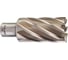 Кольцевая фреза HSS (32х50 мм; Weldon 19) Milwaukee 4932343307 1