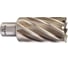 Кольцевая фреза HSS (33х50 мм; Weldon 19) Milwaukee 4932371760 1