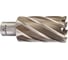 Кольцевая фреза HSS (34х50 мм; Weldon 19) Milwaukee 4932371761 1
