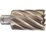 Кольцевая фреза HSS (39х50 мм; Weldon 19) Milwaukee 4932371766 1