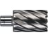 Кольцевая фреза HSS (40х50 мм; Weldon 19) Milwaukee 4932371767 1