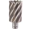 Кольцевая фреза HSS (41х50 мм; Weldon 19) Milwaukee 4932371768 1