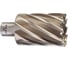 Кольцевая фреза HSS (42х50 мм; Weldon 19) Milwaukee 4932371769 1