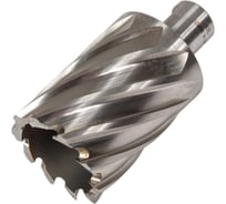 Кольцевая фреза HSS (43х50 мм; Weldon 19) Milwaukee 4932371770