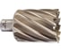 Кольцевая фреза HSS (49х50 мм; Weldon 19) Milwaukee 4932371776 1