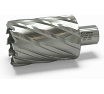 Сверло корончатое по металлу HSS Bohre 44х55 мм КБ010329