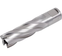 Сверло корончатое по металлу HSS Rotabroach 19х50 мм RAPL 190 КБ006338