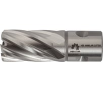 Сверло корончатое по металлу Р6М5/М2 25x30 мм WOLFSTAR cw00069