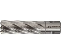 Сверло корончатое по металлу Р6М5/М2 19x55 мм WOLFSTAR cw00085