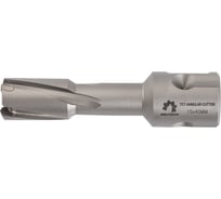 Сверло корончатое по металлу TCT 15x40 мм WOLFSTAR cw00102