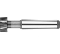 Фреза Т-образная паз 22 мм, 40x18 мм, к/х, Z=6, Р6М5 Sekira 00-00025105