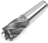 Фреза концевая (50 мм; z=6; Р6М5; КМ4) HORTZ 351897