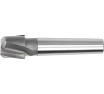 Фреза шпоночная (32 мм; Р6М5; КМ3) HORTZ 351937