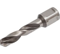 Сверло с хвостовиком WELDON 19 Эксперт 12 мм, 55 мм, HSS M2 Профоснастка № 813 40202025