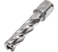 Фреза кольцевая HSS (14x50 мм) Rotorica RT.4215014