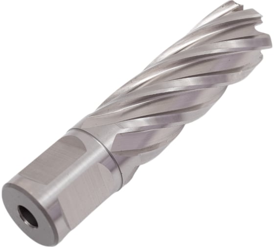 Фреза кольцевая HSS (20x50 мм) Rotorica RT.4215020