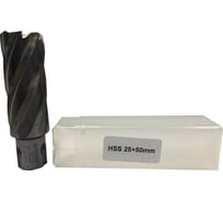 Фреза кольцевая HSS (25x50 мм) Rotorica RT.4215025