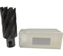 Фреза кольцевая HSS (30x50 мм) Rotorica RT.4215030