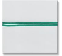 Мешок для сбора мусора с зеленой полосой 70 л TTS 00003632