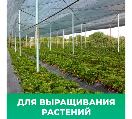 Фасадная сетка самозатухающая 4x50 м, 35 г/м² Промышленник С45035