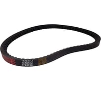 Ремень приводной зубчатый для TSS-VP80/90/100Т/V-Belt,C80T-019 ТСС 000780