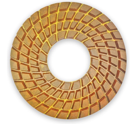 Алмазный пад AVA Professional на полу-металлической связке (гибрид) диаметром 250мм AVA-R25G 200# 1