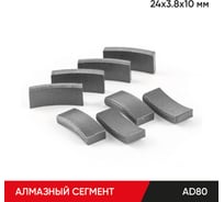 Алмазный сегмент A D 80 мм 24х3.8х10 мм MOLOT 80240913
