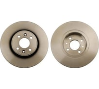 Диск тормозной Renault Kangoo 01-/Laguna 95-01/Megane 96-/Scenic 99- передний DF4110 Riginal RG3500036