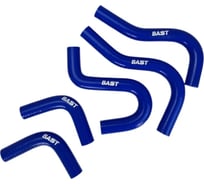 Патрубок отопителя для а/м ГАЗ 3302 Бизнес дв.4216 (к-кт 5 шт.) (силикон) BASTCLUTCH BC4216-8101200