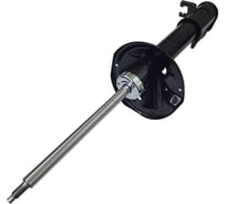 Амортизатор задний правый CTR GY1171O