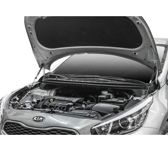 Газовые упоры капота АвтоУпор для Kia Ceed II 2012-2018, 2 шт., UKICEE012