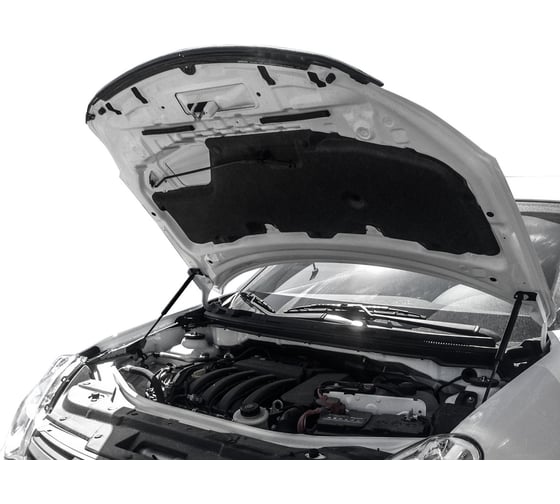 Газовые упоры капота АвтоУпор для Nissan Almera G15 2012-2018, 2 шт., UNIALM012