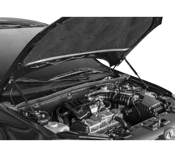 Газовые упоры капота АвтоУпор для Lada Granta 2011-2018/Kalina II 2013-2018, 2 шт ULAKAL/GRA012