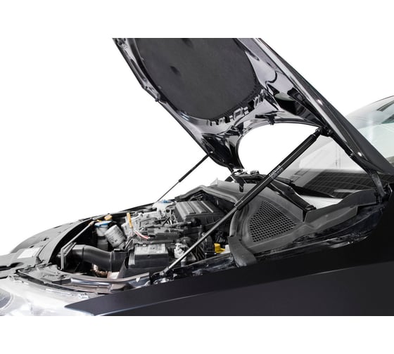Газовые упоры капота АвтоУпор для Skoda Rapid I, II 2012-2020 2020-н.в./Volkswagen Polo VI лифтбек 2020-н.в., 2 шт., USKRAP012