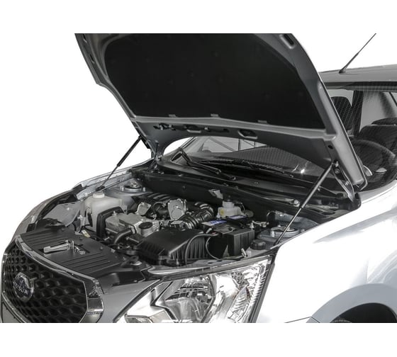 Газовые упоры капота АвтоУпор для Datsun mi-DO 2015-н.в./on-DO 2014-н.в., 2 шт UDAOND/MID012