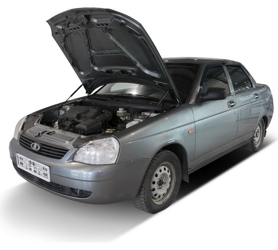 Газовые упоры капота АвтоУпор для Lada Priora 2007-2018, 2 шт., ULAPRI012