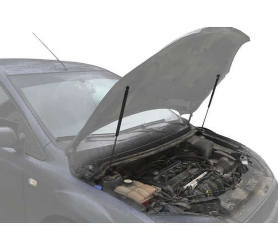 Газовые упоры капота АвтоУпор для Ford Focus II 2005-2008, 2 шт., UFDFOC012
