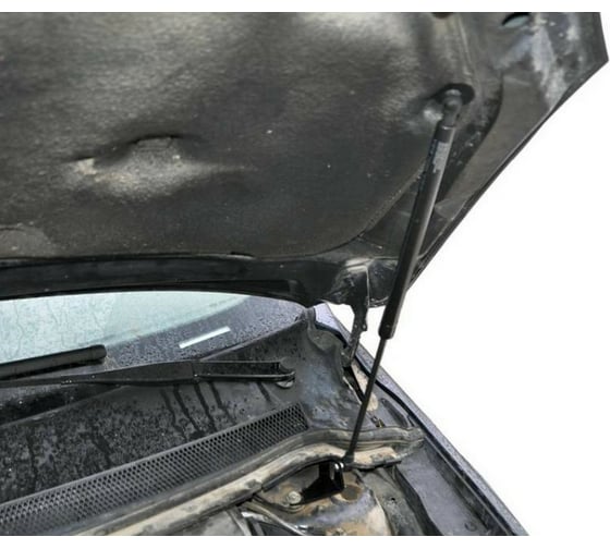 Газовые упоры капота АвтоУпор для Ford Focus II 2005-2008, 2 шт., UFDFOC012