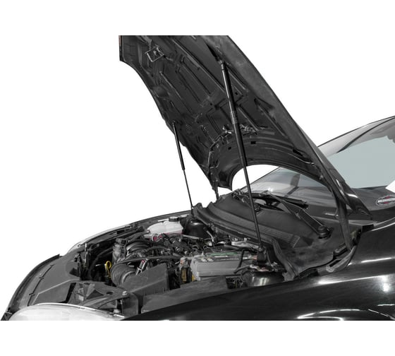 Газовые упоры капота АвтоУпор для Ford Focus II 2005-2008, 2 шт., UFDFOC012