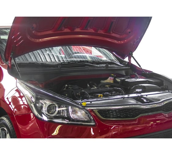 Газовые упоры капота АвтоУпор для Kia Rio IV 2017-2020/Rio X-Line 2017-2020, 2 шт., UKIRIO021