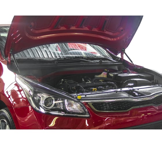Газовые упоры капота АвтоУпор для Kia Rio IV 2017-2020/Rio X-Line 2017-2020, 2 шт., UKIRIO021