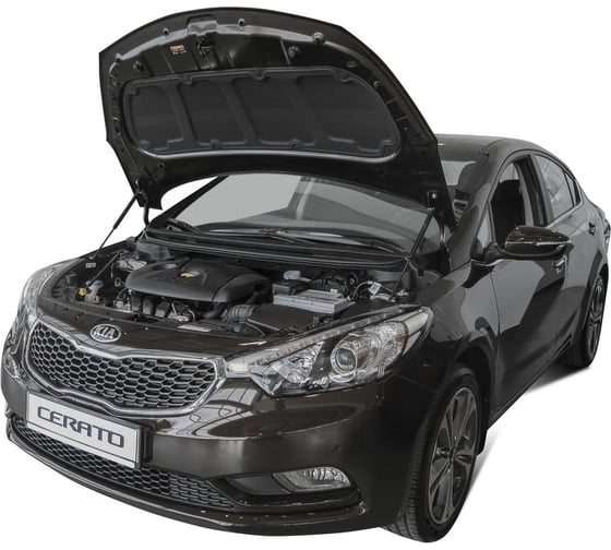 Газовые упоры капота АвтоУпор для Kia Cerato III 2013-2018/Cerato III Classic 2018-н.в., 2 шт., UKICER012