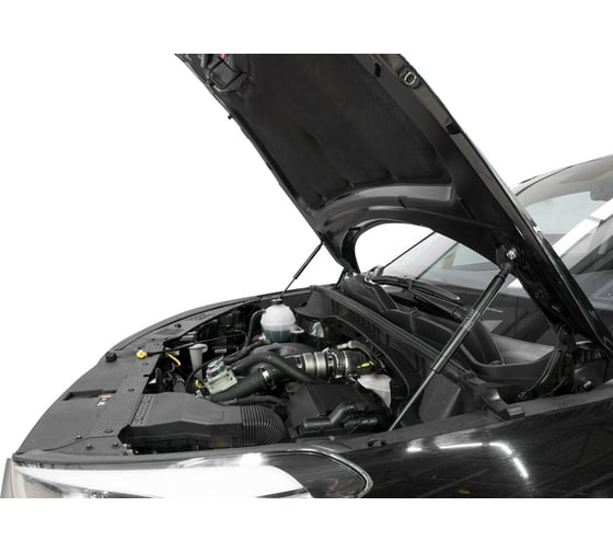 Газовые упоры капота АвтоУпор для Hyundai Tucson III 2015-2018 2018-н.в., 2 шт., UHYTUC011